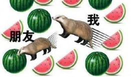 伙伴娱乐吃瓜,揭秘娱乐圈的“吃瓜”风云